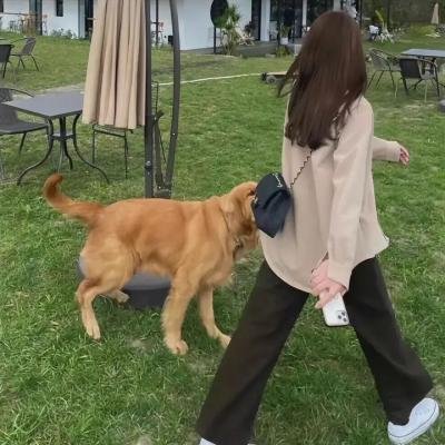 街头竞选
