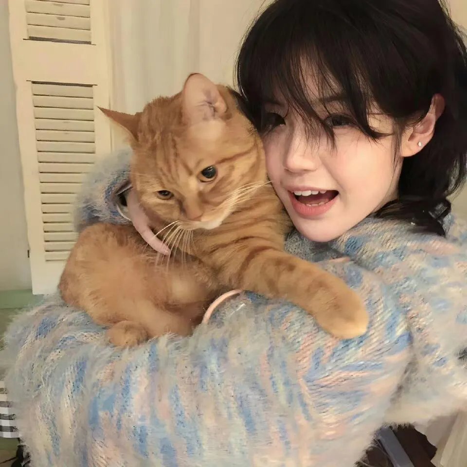 闪电十一人 猎户座的刻印
