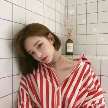 鲸鱼之友